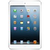 Apple iPad mini 16Gb Wi-Fi + Cellular черный - Заводоуковск