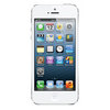 Apple iPhone 5 16Gb white - Заводоуковск